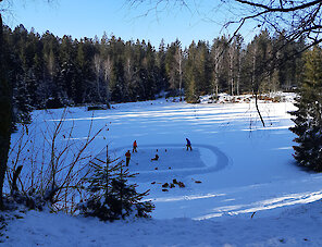Bayerischer Wald